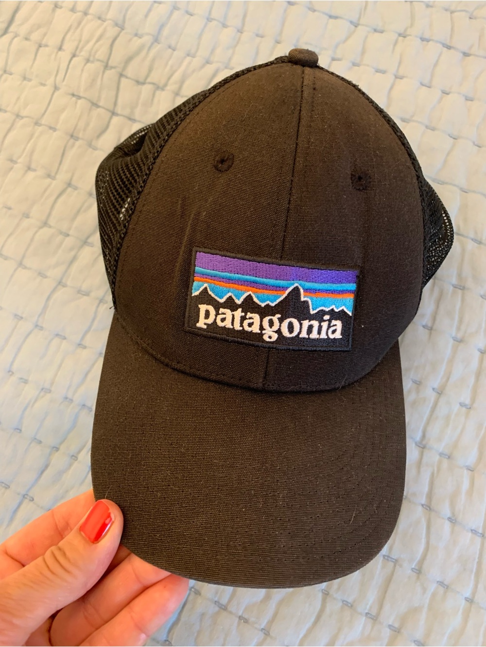 Patagonia Black Trucker Hat with Purple & Blue Logo